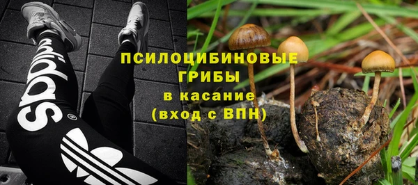 тгк Абдулино