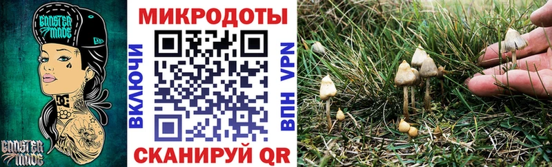 Галлюциногенные грибы Magic Shrooms  OMG ссылки  Кохма 